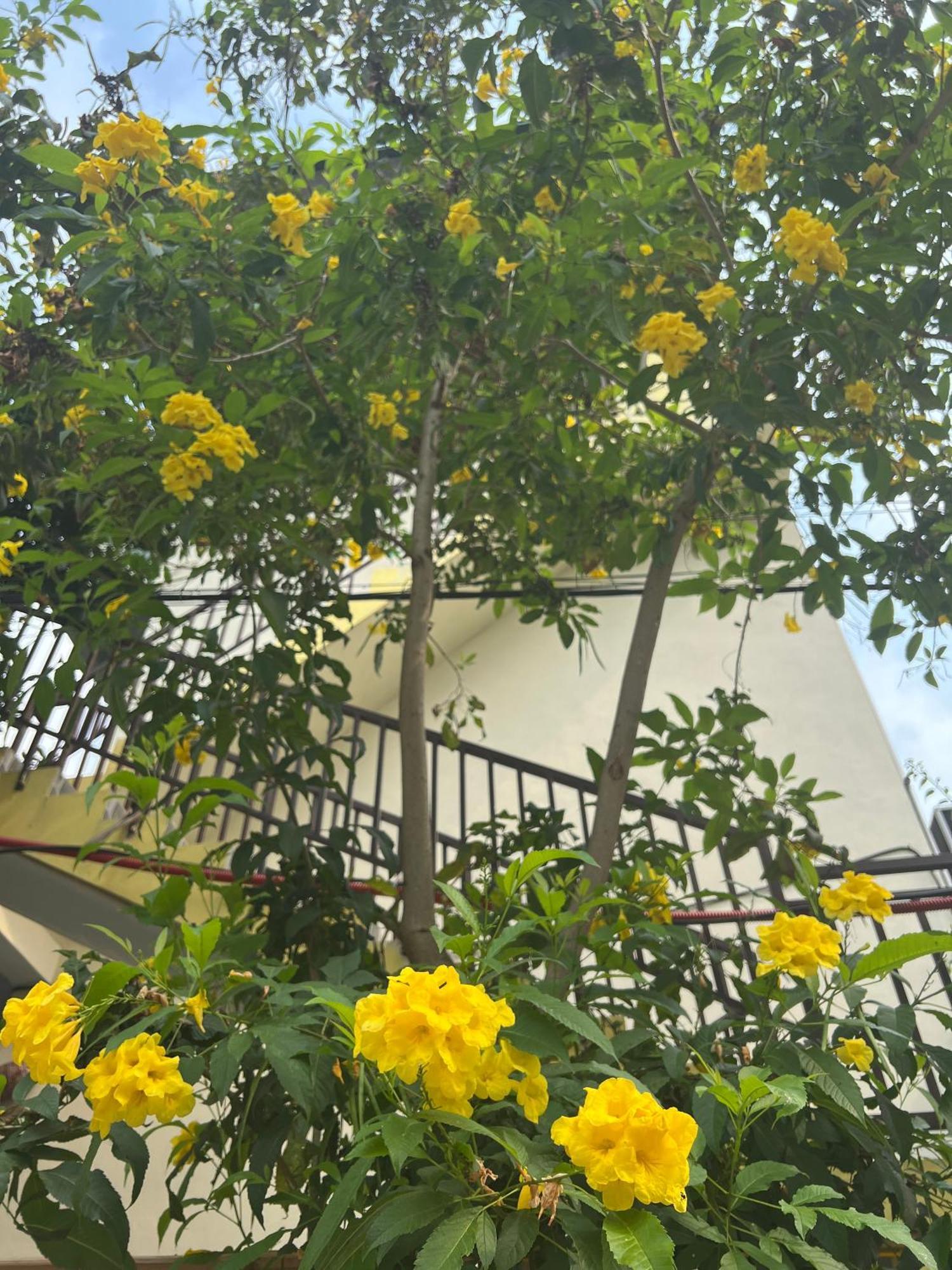 Hakuna Matata Mai Châu Exterior foto